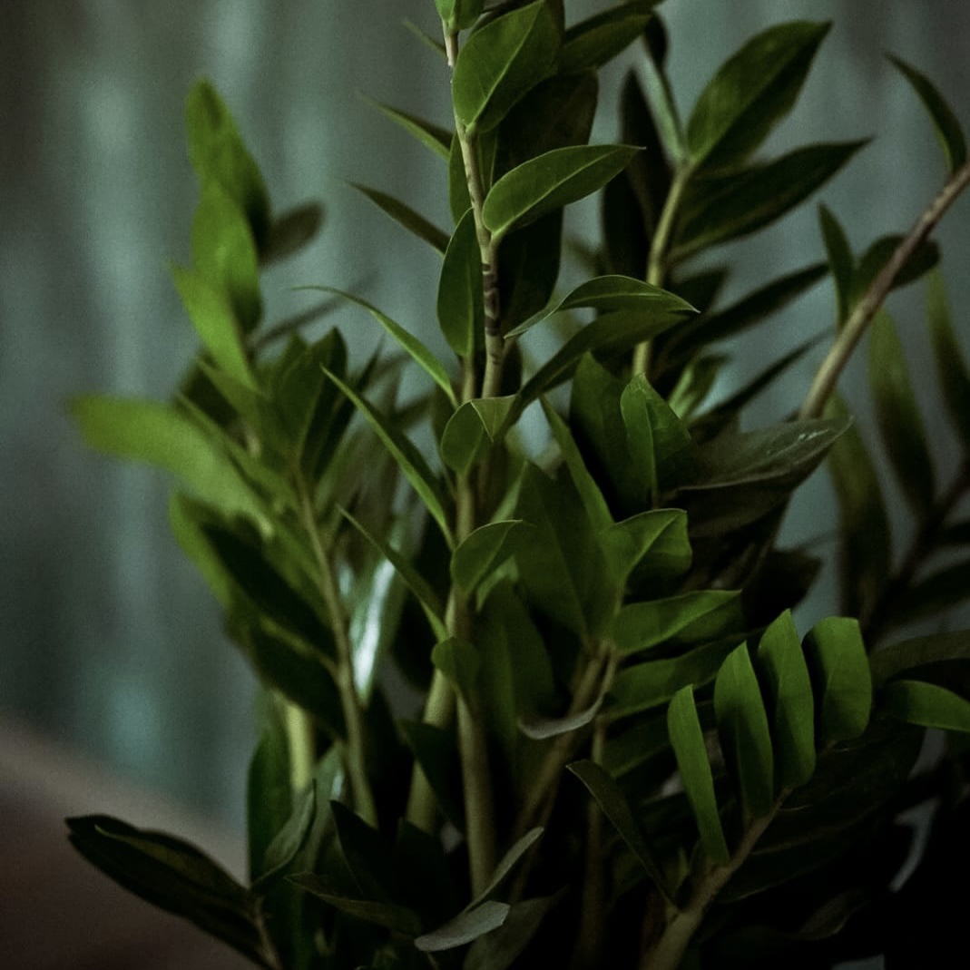 f073879e-5e5e-4f19-a3e7-66a960c8cc31